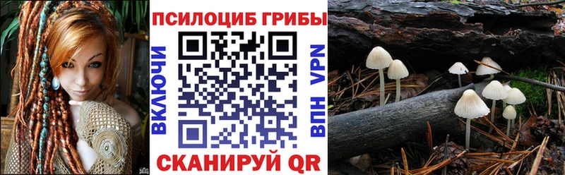 Псилоцибиновые грибы GOLDEN TEACHER  что такое наркотик  Камень-на-Оби 